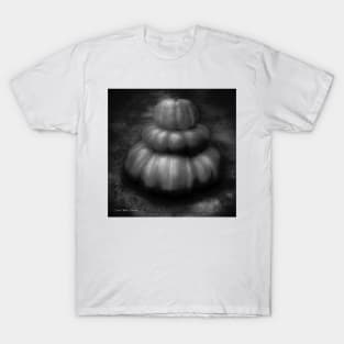 Nice Set Of Gourds - Black and White T-Shirt